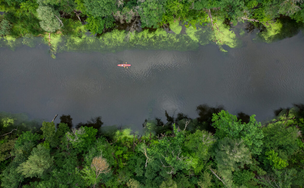 aerial view of a group of kayaks traveling on a forest river on a summer day