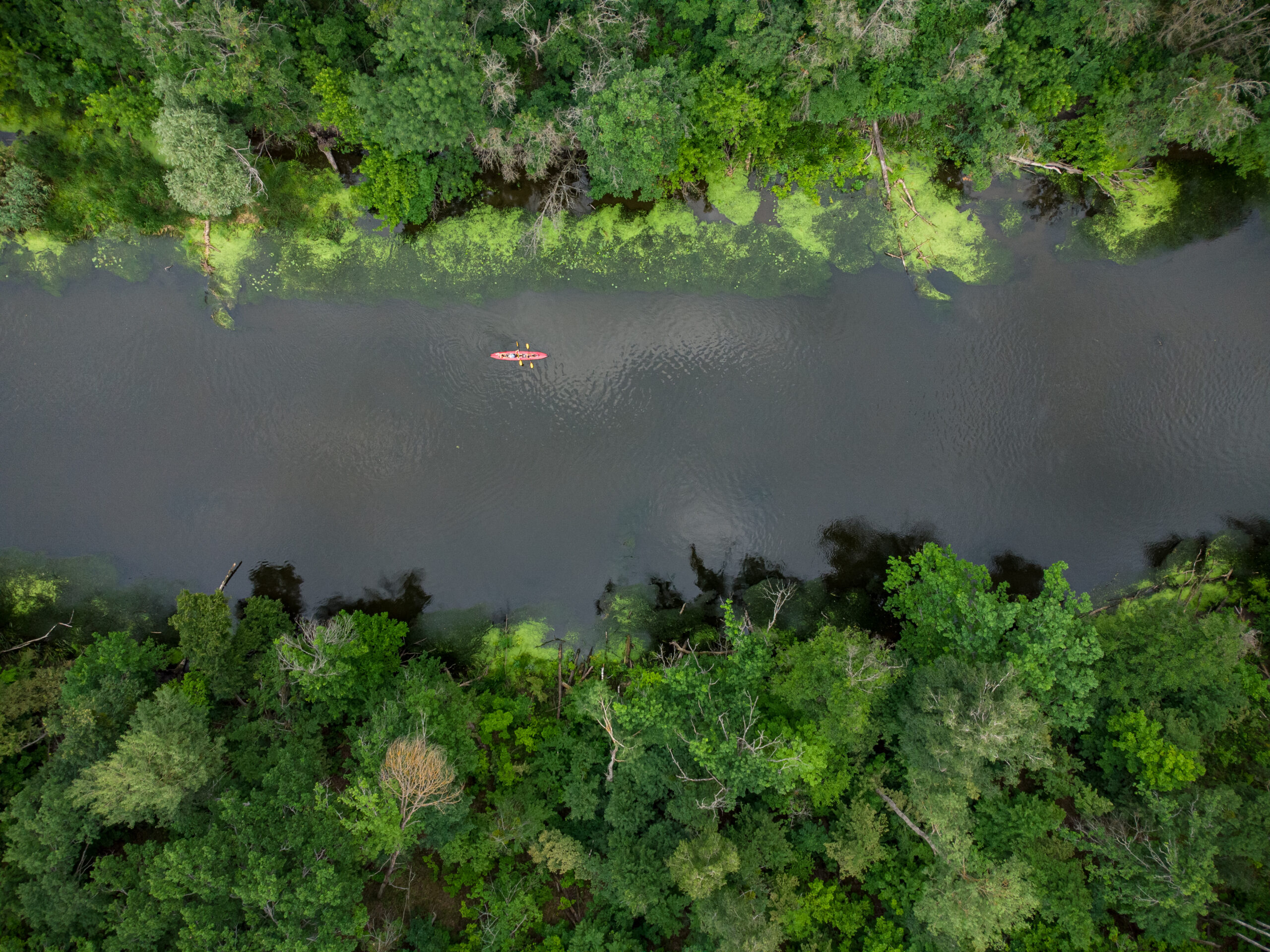 aerial view of a group of kayaks traveling on a forest river on a summer day