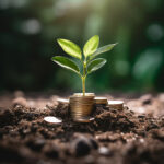 COP30 contará com hub global de investimentos em Belém (CNN Brasil)